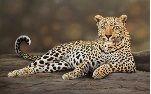 Ngỡ ngàng trước những tranh vẽ như thật về động vật hoang dã