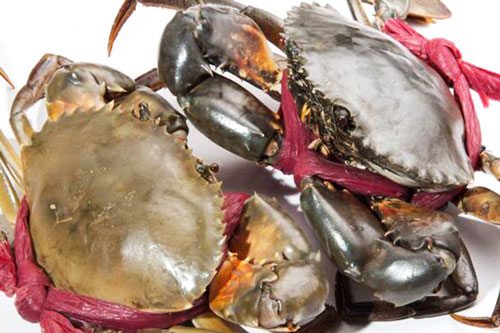 Bí quyết chọn cua thịt thơm ngon chắc nịch, 10 con chuẩn cả 10