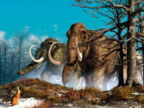 Voi ma mút khổng lồ nặng thế nào, vì sao chúng tuyệt chủng?