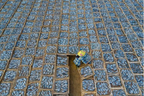 Chiêm ngưỡng những bức ảnh đạt giải quốc tế năm 2021