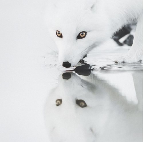 Ngắm những địa điểm đẹp ngoạn mục ở Iceland 