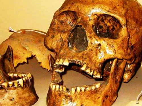 Sự thật về người khổng lồ tóc đỏ bí ẩn 'ăn thịt' đồng loại