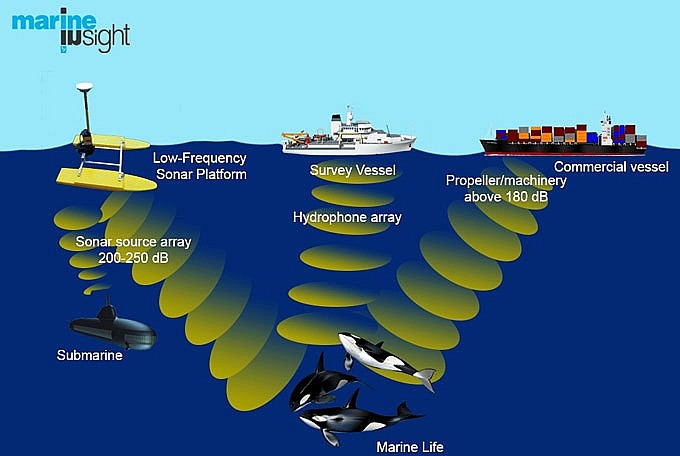 Động vật, cỏ cây cũng… mệt mỏi vì tiếng ồn