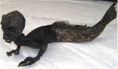 Bí ẩn về sự tồn tại của Nàng tiên cá trong lòng đại dương