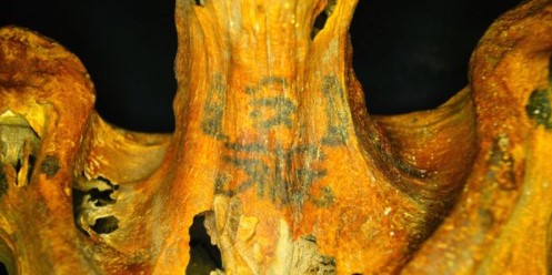 Xác ướp Ai Cập cổ đại gây xôn xao vì phủ đầy hình xăm thần bí