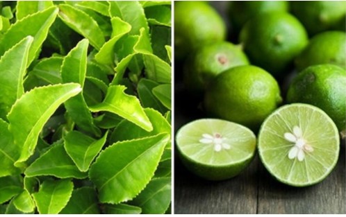 Mách bạn cách dùng trà xanh đúng cách cho các loại da khác nhau