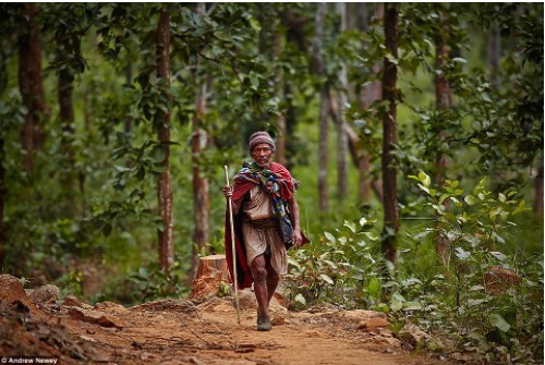 Tìm hiểu về cuộc sống của bộ tộc săn bắt, hái lượm cuối cùng ở Nepal ở thế kỉ 21