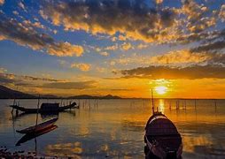 Doanh nghiệp du lịch Huế chung tay làm sạch rừng ngập mặn trên Phá Tam Giang