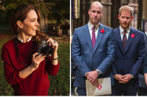 Công nương Kate tung ảnh đẹp ngây ngất ra mắt cuốn sách đặc biệt, Harry và William dự định tái hợp sau rạn nứt?