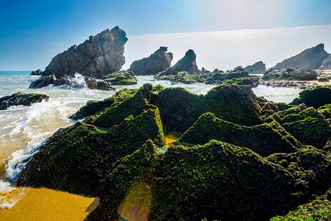 Quảng Bình: Bãi biển Đá Nhảy cần làm sạch rác thải 