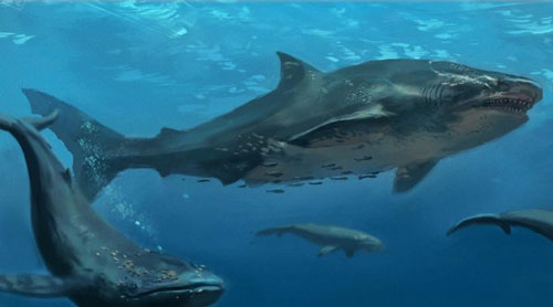 Kích thước thật của cá mập Megalodon