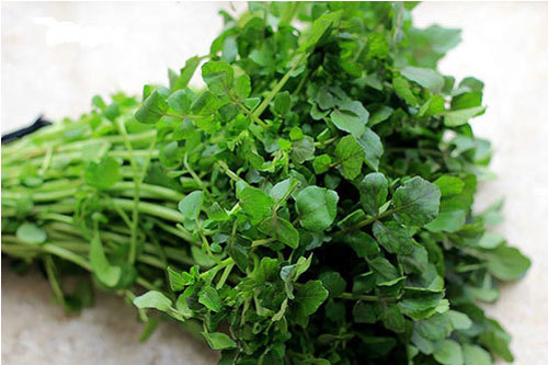 Những thực phẩm tốt cho người bị bệnh bướu cổ