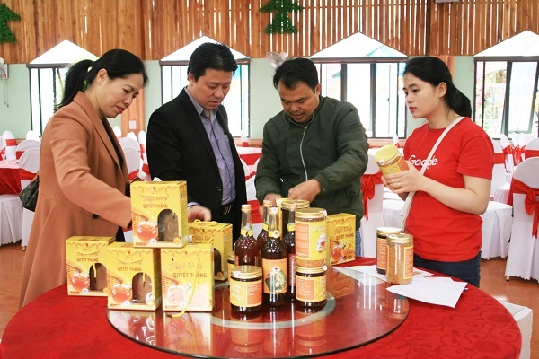 Tập huấn mở "Gian hàng Việt trực tuyến" và hỗ trợ kết nối phân phối sản phẩm của Sơn La 