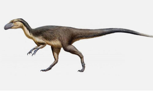 Tìm ra khủng long lông vũ sinh sống tại Nam cực