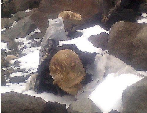 Bí ẩn về xác ướp “tắm mình” trong sông băng trên núi