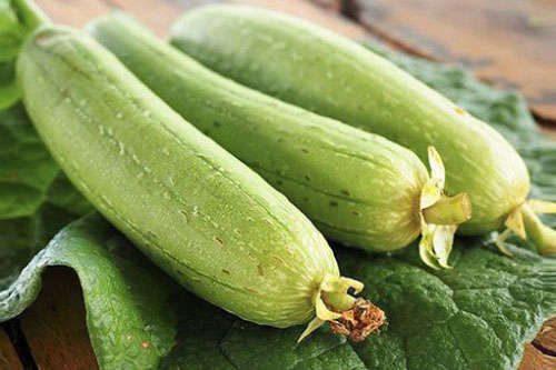 Lợi ích quý giá của quả mướp với sức khỏe con người