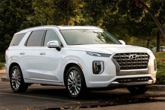 Hyundai Palisade xuat hien tai TP.HCM anh 2