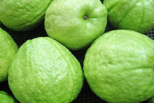 Ăn ổi thường xuyên, điều kỳ lạ này sẽ đến với chính cơ thể của bạn!