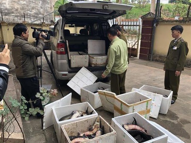 Siết chặt nhập khẩu cá tầm từ Trung Quốc: Phải có kết quả giám định chủng loại mới được thông quan