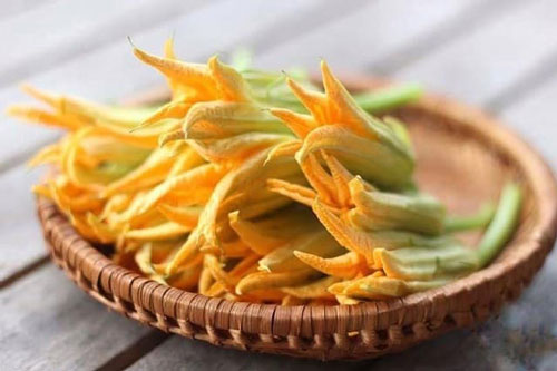 Hoa bí đỏ chính là tiên dược cho sức khỏe