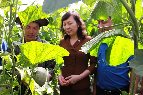 Anh Lê Văn Thiềng (bìa trái) chia sẻ về những thuận lợi, khó khăn trong quá trình khởi nghiệp cùng Phó Bí thư Thường trực Tỉnh ủy Huỳnh Thị Hằng (giữa),