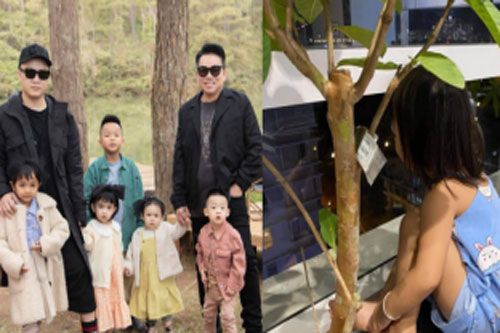 Đỗ Mạnh Cường đáp trả ý kiến về việc nhận con nuôi thứ 8, Hà Tăng và sao Việt lập tức ủng hộ