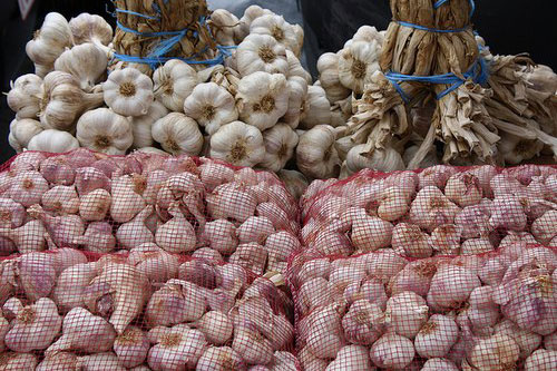 Bảo quản tỏi cả năm không mốc hỏng hay mọc mầm bằng 1 cách đơn giản