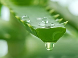 Thực phẩm giúp vòng 1 săn chắc, căng đầy