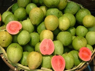 Mua ổi cứ nhắm trúng điểm này, đảm bảo ổi ngon giòn đặc biệt