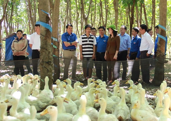 Thanh niên khởi nghiệp Lê Thanh Hiền (áo phông) bộc bạch về con đường khởi nghiệp của bản thân cùng Phó Bí thư Thường trực Tỉnh ủy Huỳnh Thị Hằng (áo nâu) và Bí thư Tỉnh Đoàn Trần Quốc Duy (chính giữa, mặo áo thanh niên Việt Nam).