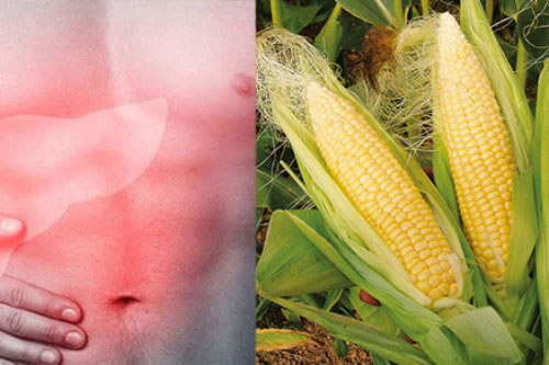 7 loại thực phẩm lọc sạch độc tố trong gan, mát gan tiêu độc, nên ăn thường xuyên để khỏe mạnh