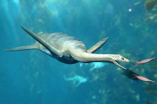 Phát hiện hài cốt "thằn lằn đầu rắn" chưa từng biết, 67 triệu tuổi