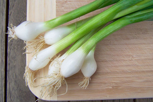 Không biết những công dụng chữa bệnh này của hành bạn sẽ tiếc nuối cả đời