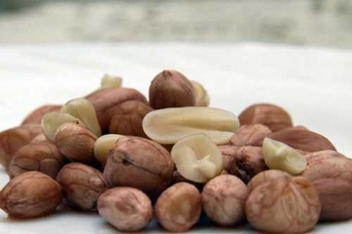 Loại chất độc gây ung thư trong bếp mọi gia đình, bạn có biết để loại bỏ?