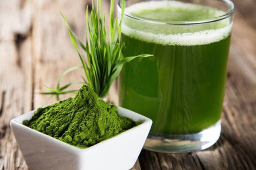 7 lợi ích tuyệt vời của tảo xoắn đối với sức khỏe