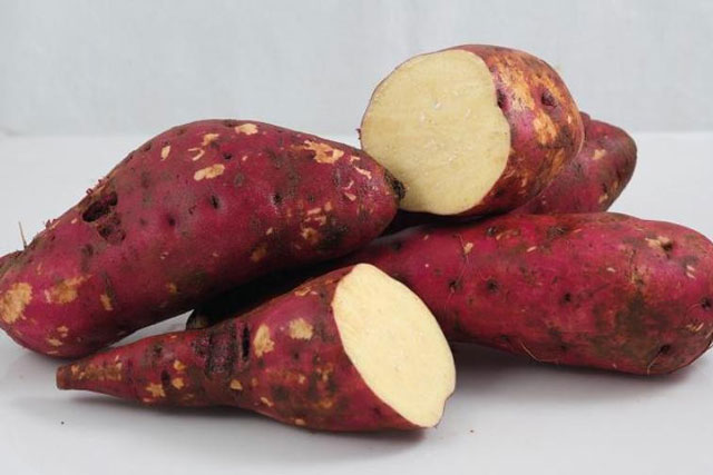 Ăn khoai lang kiểu này cân nặng giảm không kiểm soát