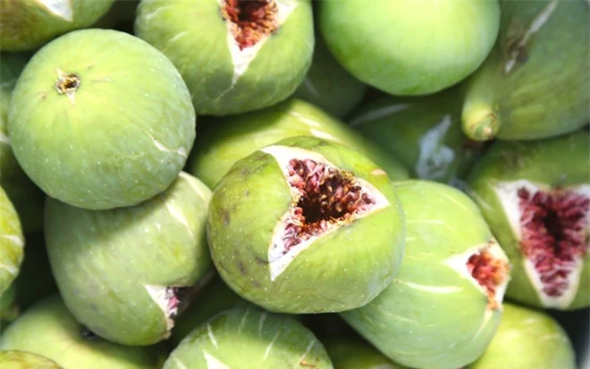 figs-shutterstock_110764127_xswn