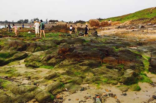 Về Cổ Thạch, Bình Thuận “săn rêu”, ngắm đá 7 màu