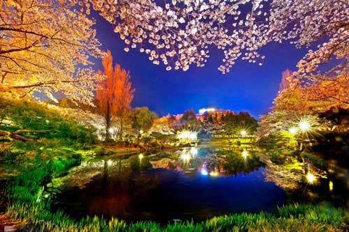 10 địa điểm ngắm cảnh đêm đẹp nhất ở xứ sở Kim Chi