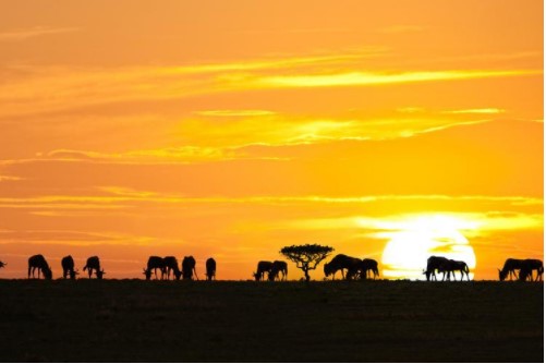 Điểm danh 10 địa điểm ngắm hoàng hôn đẹp bậc nhất trên thế giới