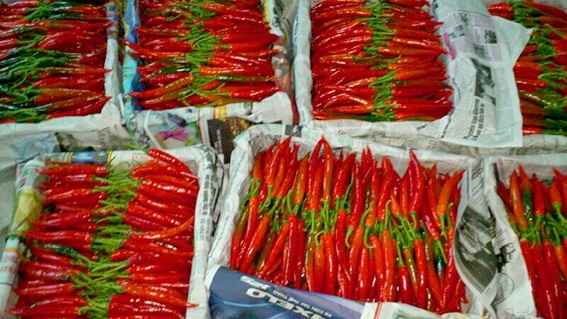 Bộ Công Thương: Bác bỏ thông tin Trung Quốc cấm nhập khẩu ớt Việt Nam 