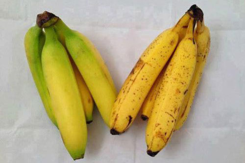 Cách phân biệt chuối chín tự nhiên và chín ép bằng hóa chất