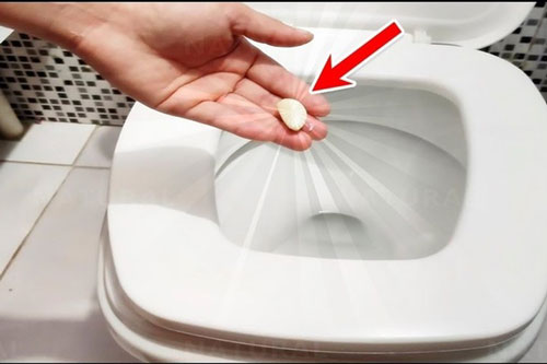 Lợi ích kỳ diệu của việc ném 1 tép tỏi vào bồn cầu, nhà nhà đều muốn học theo