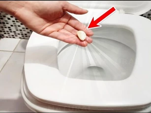 Lợi ích kỳ diệu của việc ném 1 tép tỏi vào bồn cầu, nhà nhà đều muốn học theo