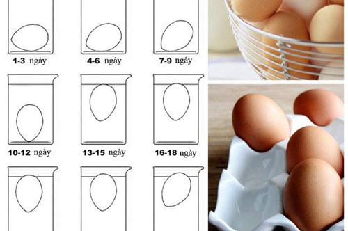 Muốn chọn trứng gà tươi ngon chỉ cần làm đúng 1 việc, bà bán hàng chắn chắn không bao giờ tiết lộ