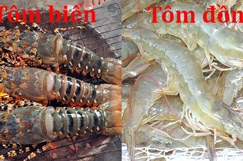 Bí quyết chọn tôm tươi ngon “bách phát bách trúng” mùa đi biển, chỉ cần 2 giây là biết tôm bơm hóa chất không