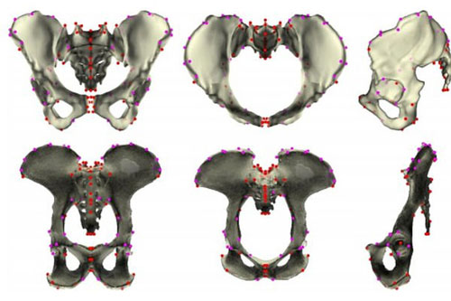 Bằng chứng sốc cho thấy tổ tiên loài người… đẻ trứng