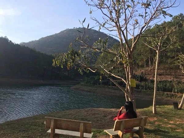 Sáng sớm bên Hồ Tuyền Lâm.