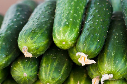 Sai lầm khi ăn dưa chuột rước thêm bệnh vào người, đa số người Việt đều mắc phải