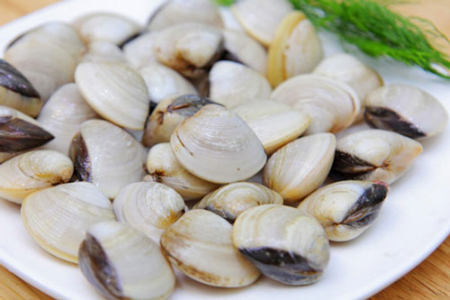 Bí quyết giúp chị em làm sạch cát trong ngao giúp món ăn hấp dẫn hơn